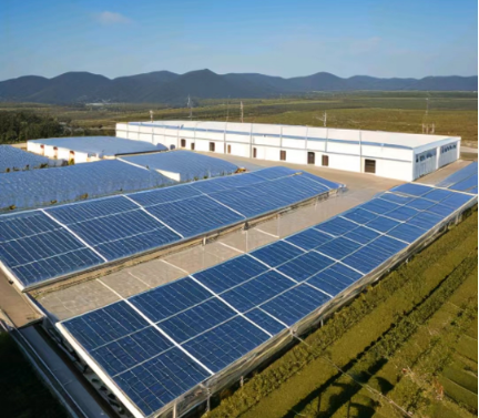 冷庫使用光伏發電：綠色能源的新選擇